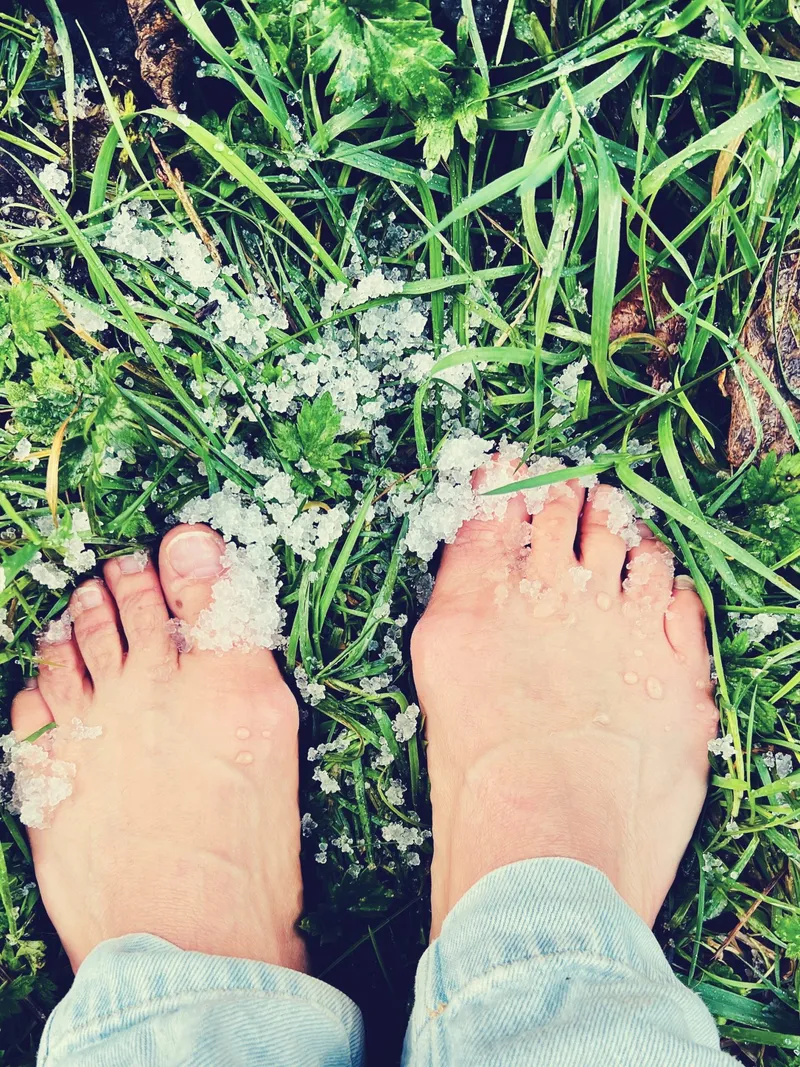 Pieds nus posés sur l’herbe et les fleurs sauvages, image d’ancrage à la Terre