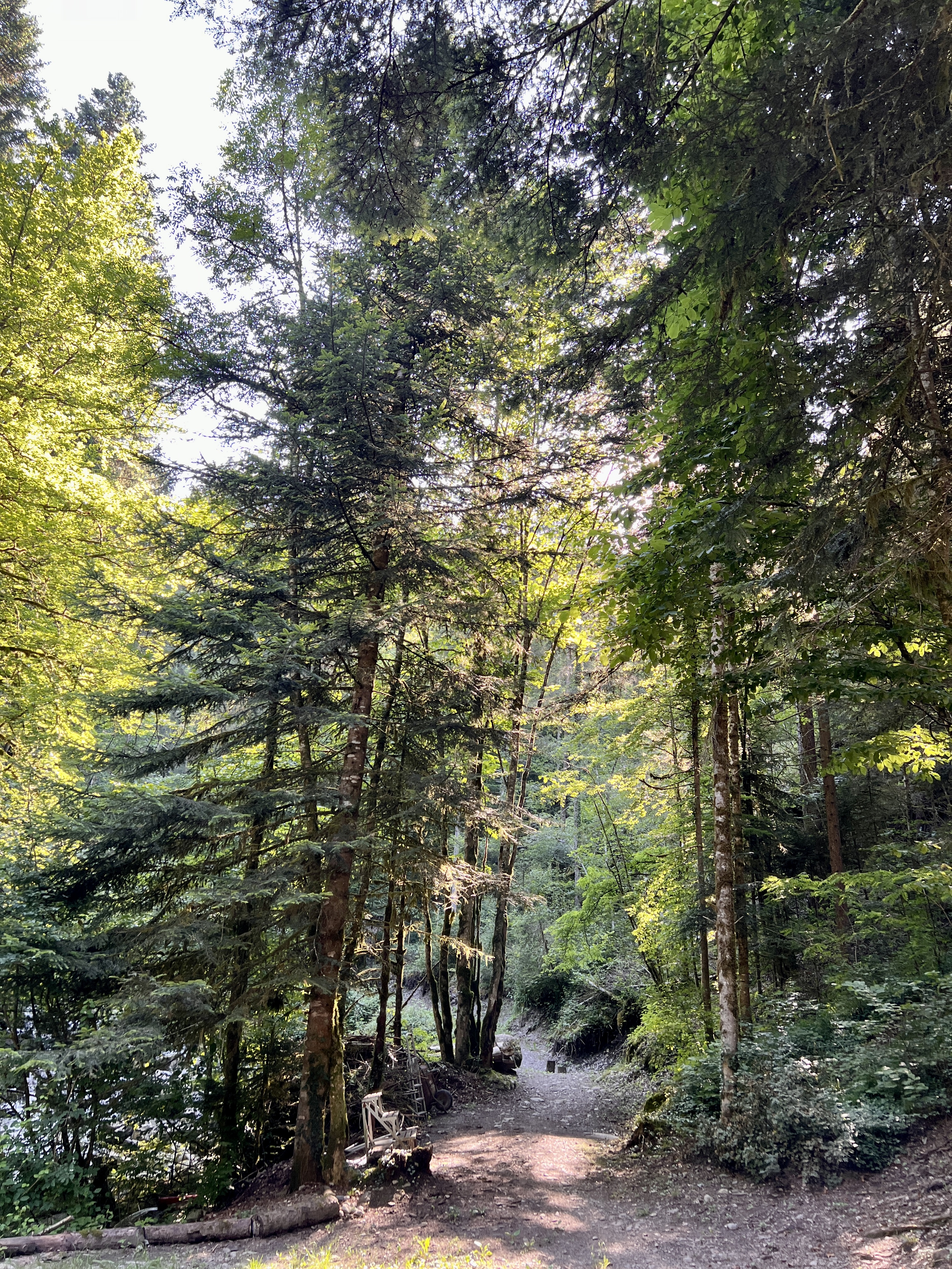 L'Âme : Souffle de Vie, Source d'Essence