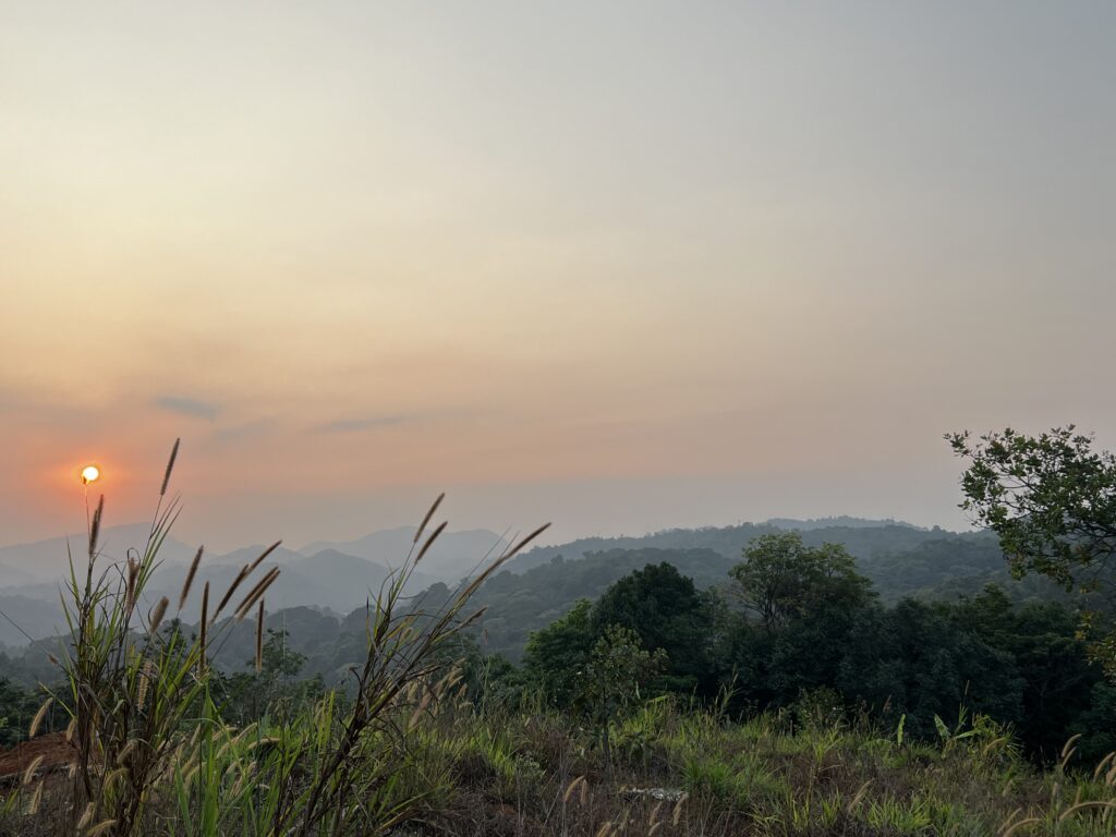Paysage naturel évocateur d'un voyage émotionnel