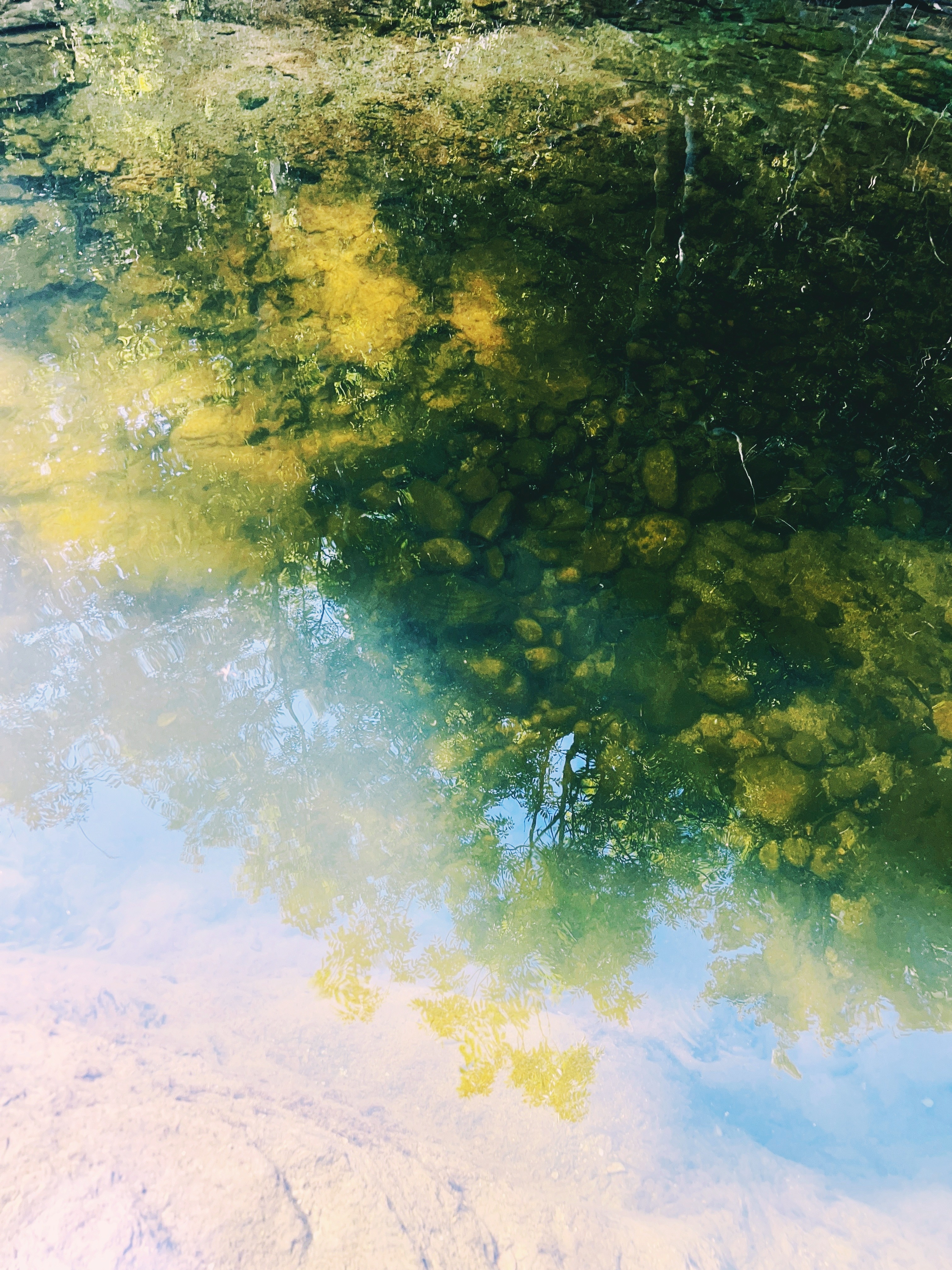 La Capacité d’Être Témoin : La Résonance comme Chemin de Guérison pour Soi, Ses Ancêtres et le Collectif