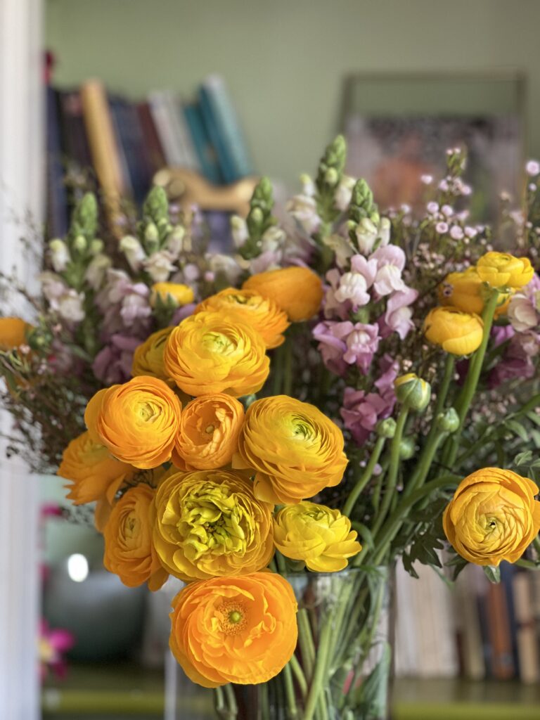 Moment de rassemblement féminin dans la nature