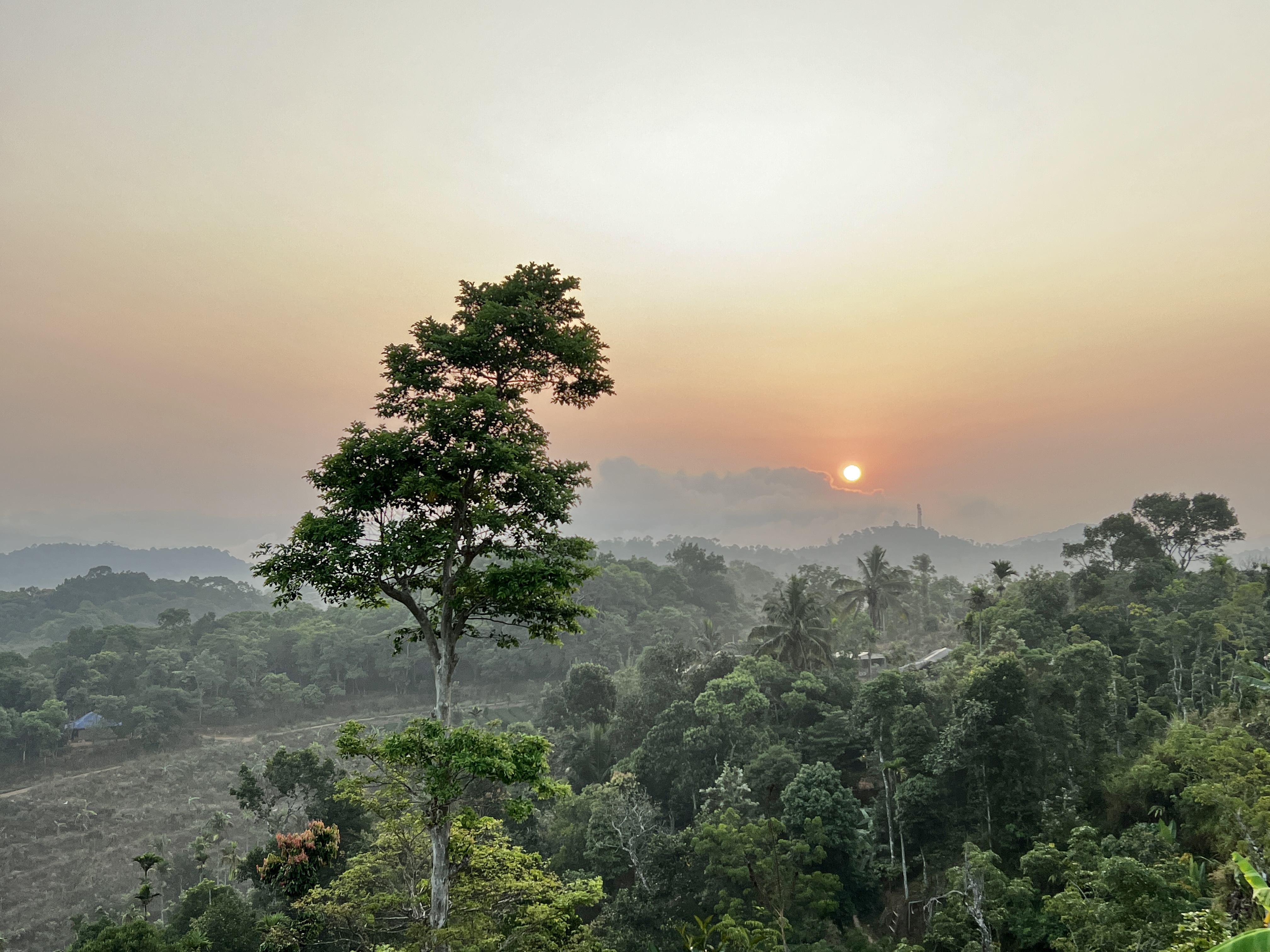 Les cercles de femmes