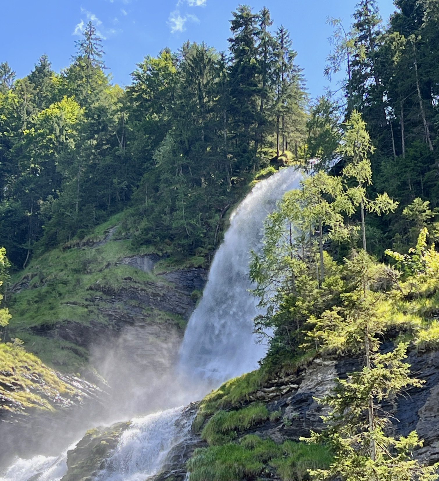 Comment choisir le/la bon.ne thérapeute pour moi ?