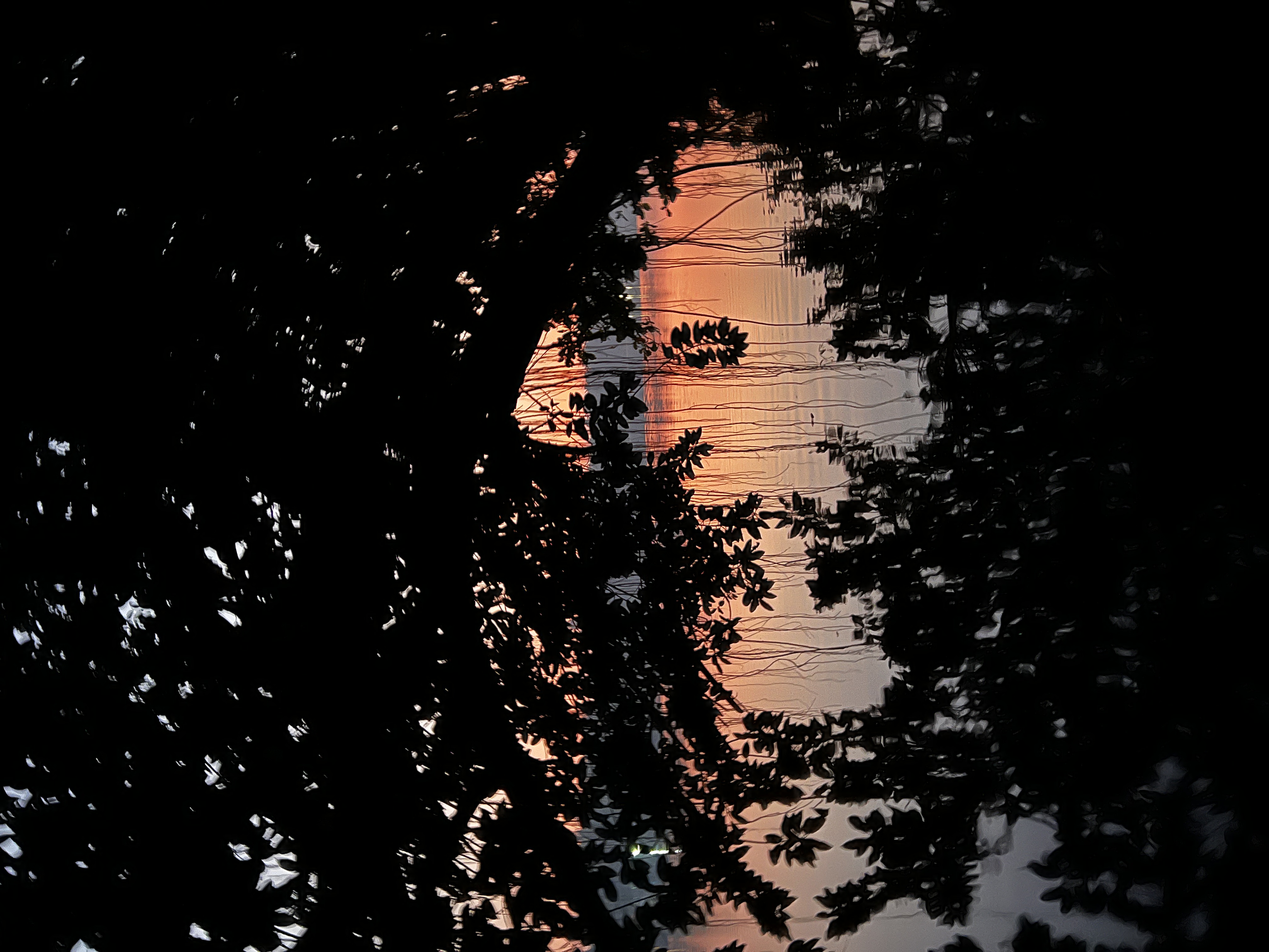 Comprendre le Traumatisme : Définition, Types et Fonction Intelligente