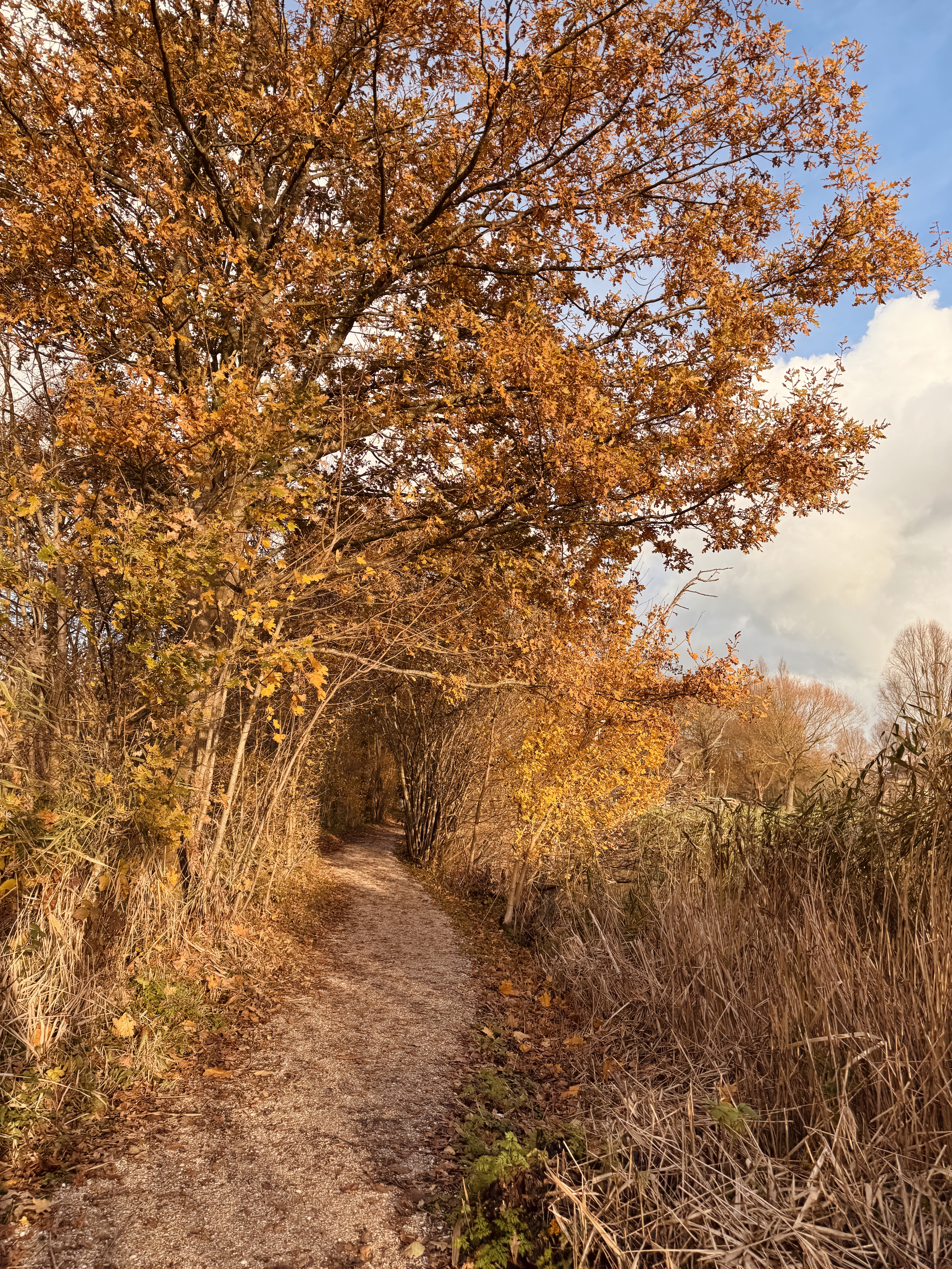 Et si la crise de vie était un appel à plus grand que nous ?