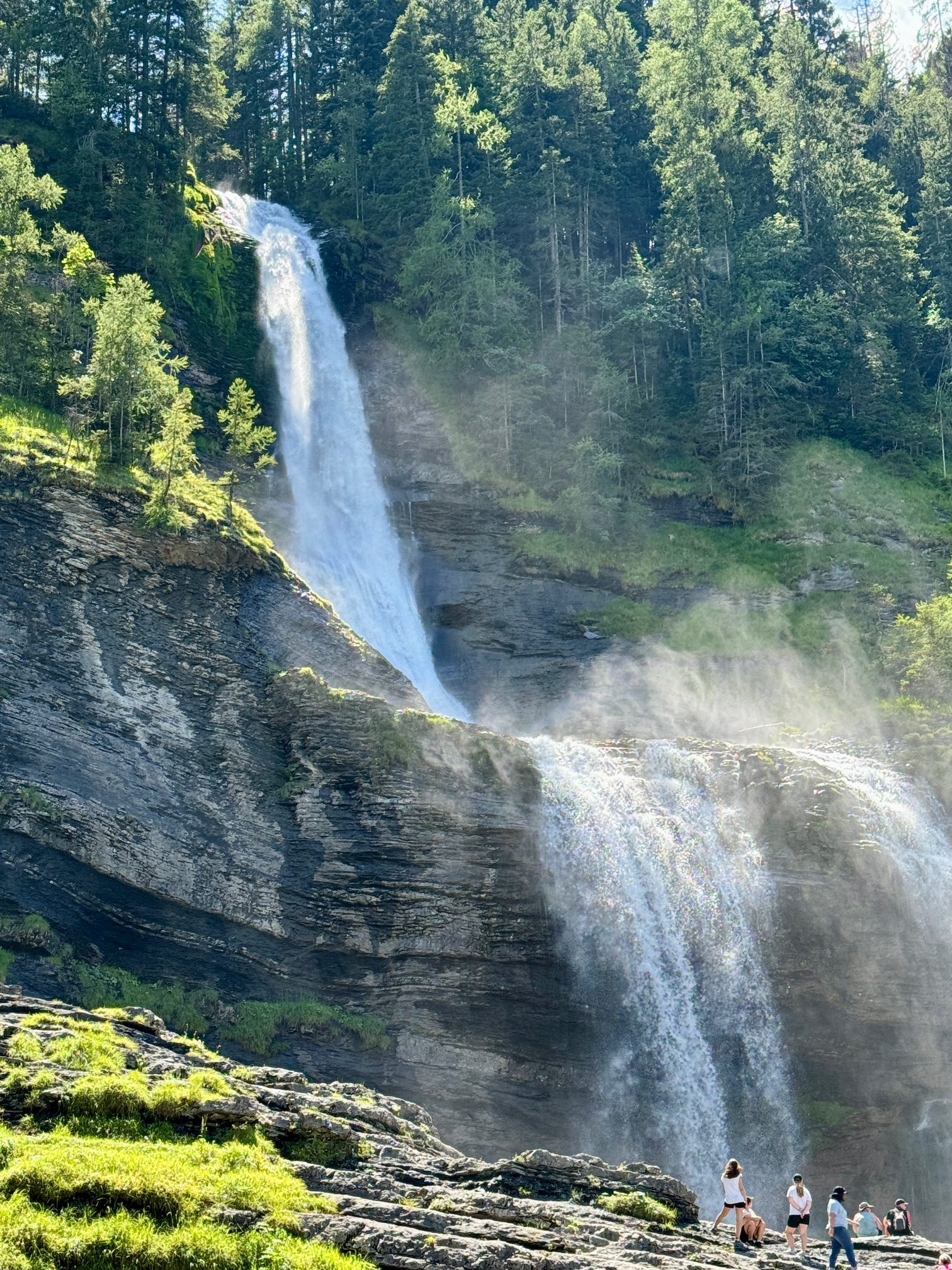 La Voix de notre Humanité : Un Chemin de Guérison et de Transformation