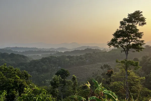 Chemin forestier baigné de lumière, invitation à la méditation