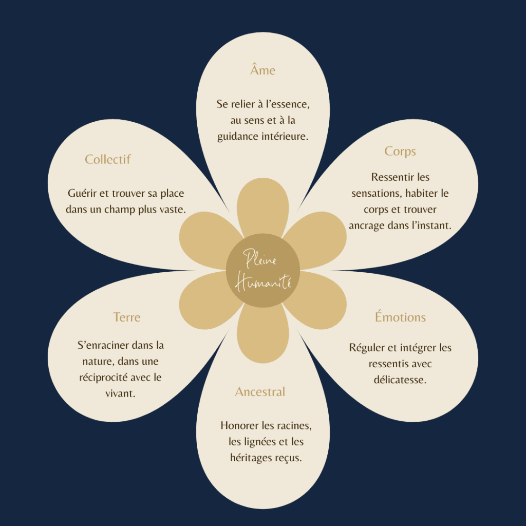 Fleur Pleine Humanité : les six dimensions de l’accompagnement émotionnel — Âme, Corps, Émotions, Ancestral, Terre et Collectif