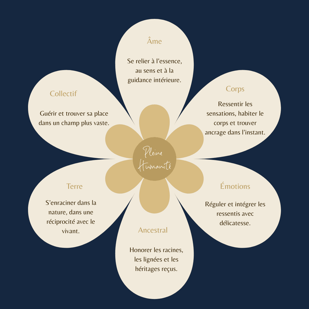 Les six dimensions de la pleine humanité : Âme, Corps, Émotions, Ancestral, Terre, Collectif
