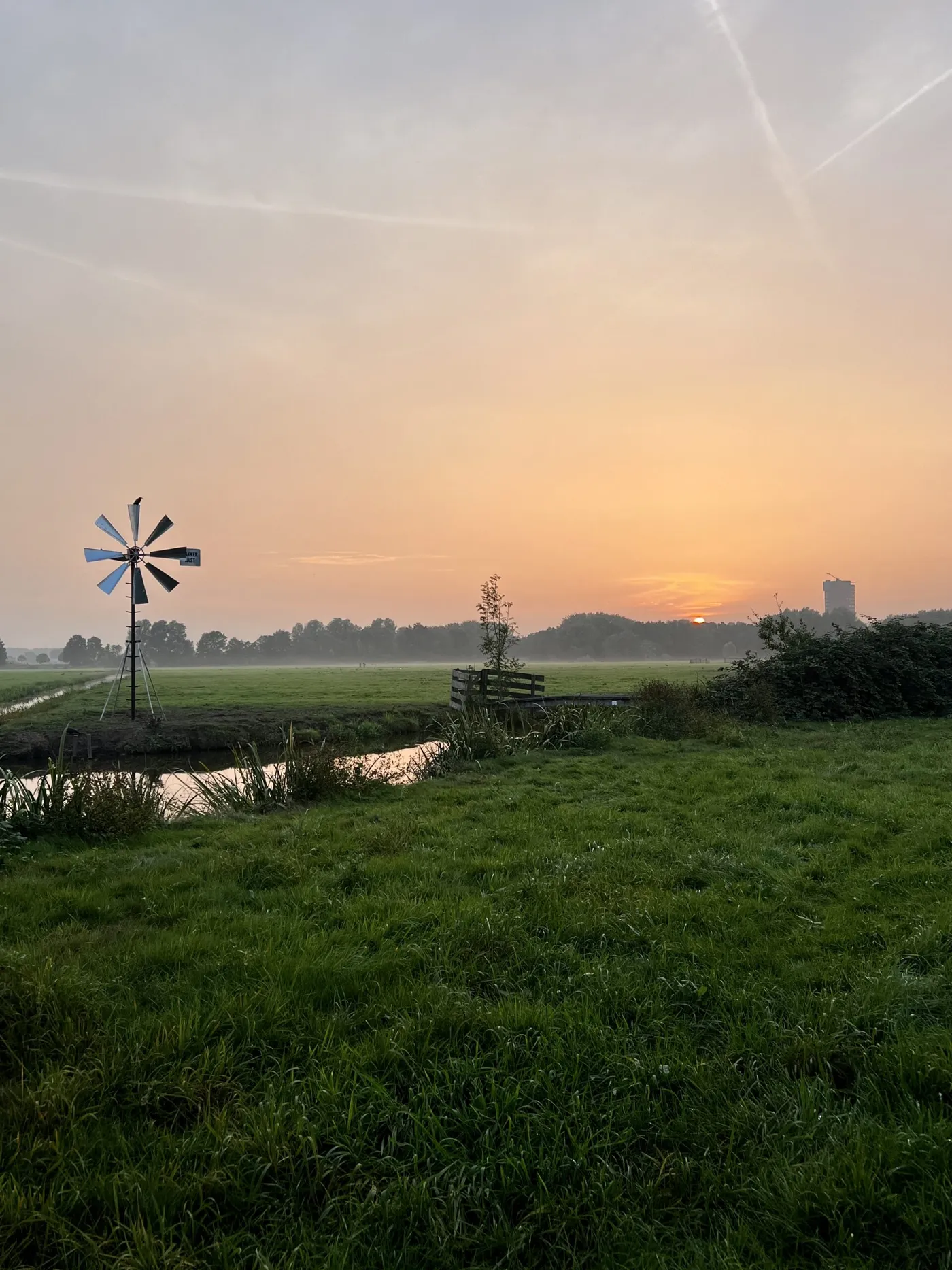 Paysage naturel au coucher du soleil
