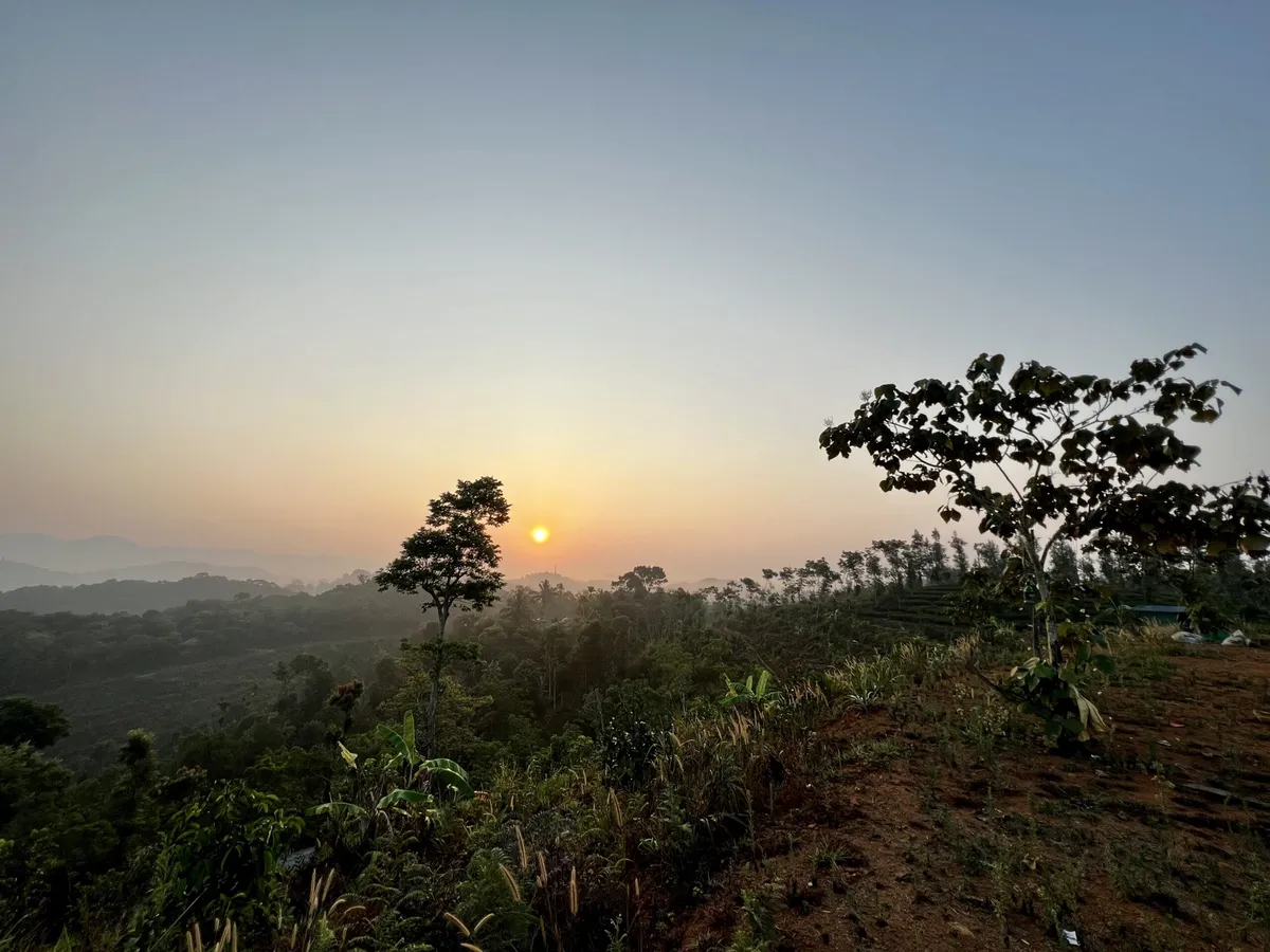 Lever de soleil doré sur des collines boisées dans la brume