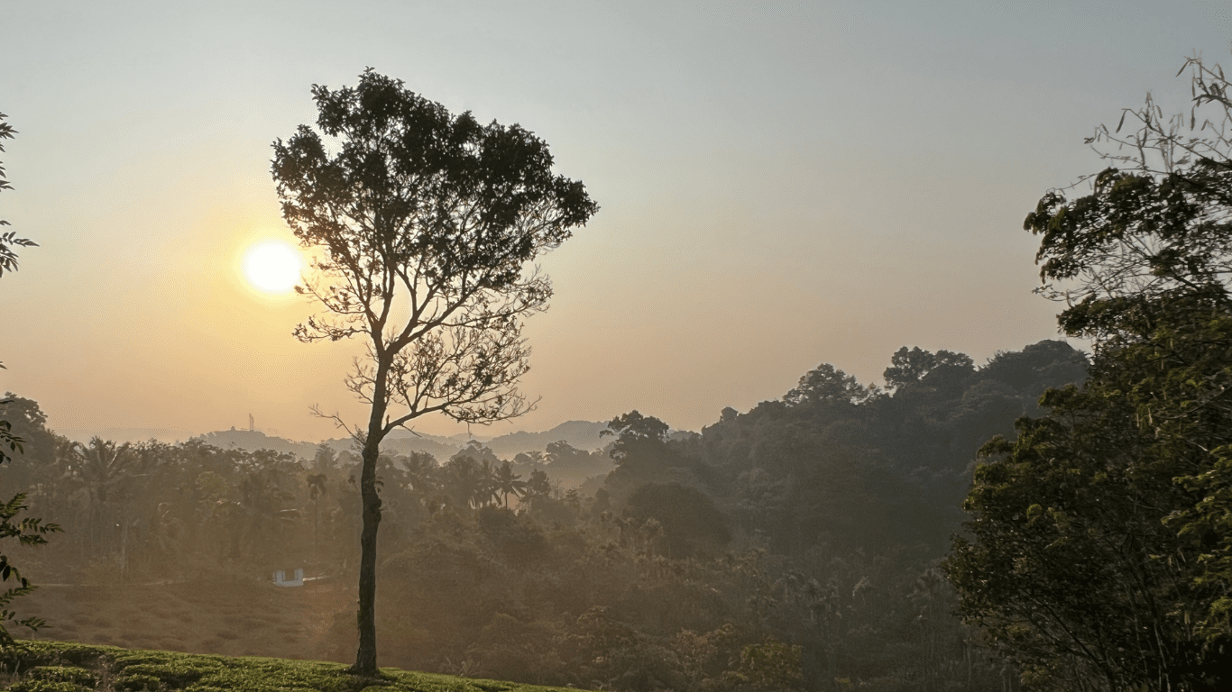 De la rupture à l'appartenance – parcours de transformation