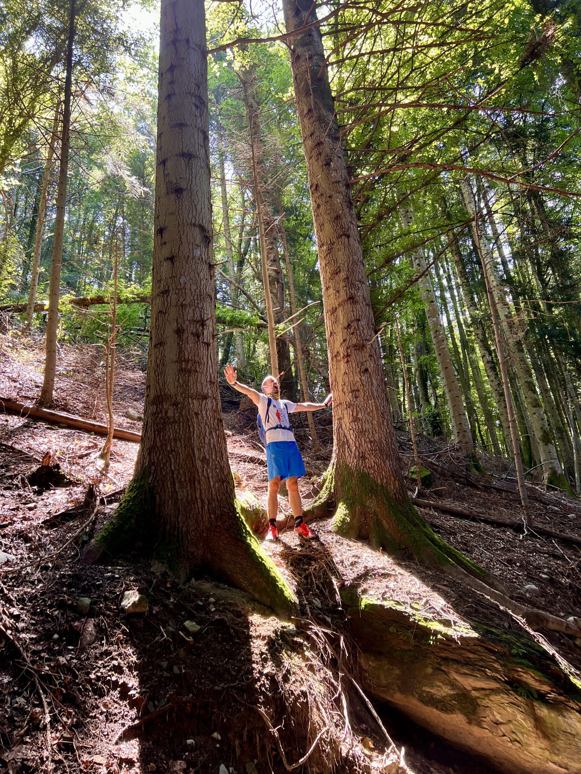 Retraites et programmes collectifs