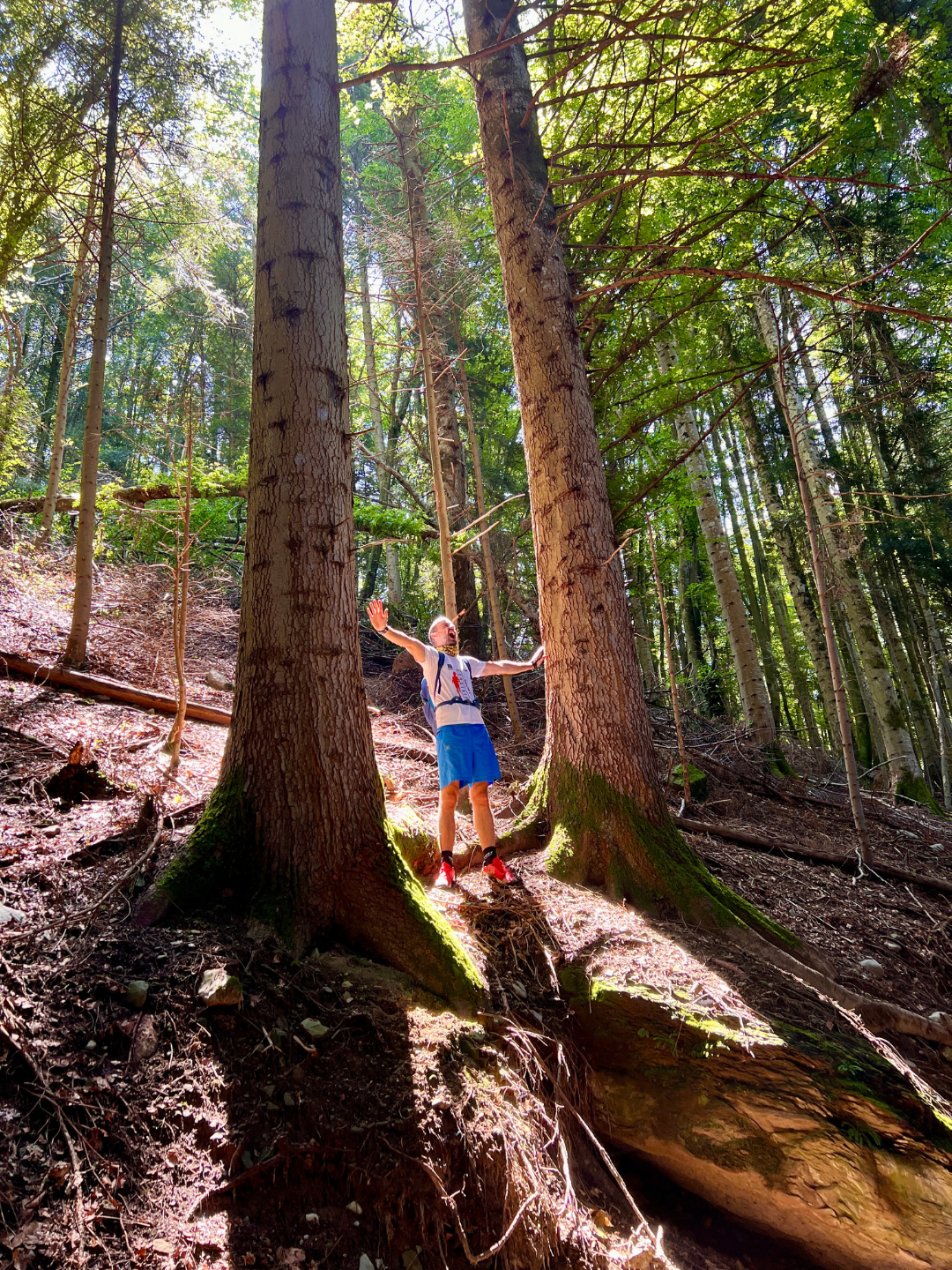 Retrouver la lumière des racines – stage d'accompagnement ancestral à Paris
